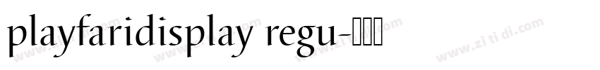 playfaridisplay regu字体转换